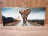 Obraz na płótnie (poziomy 90x40) słoń / krajobraz / natura
