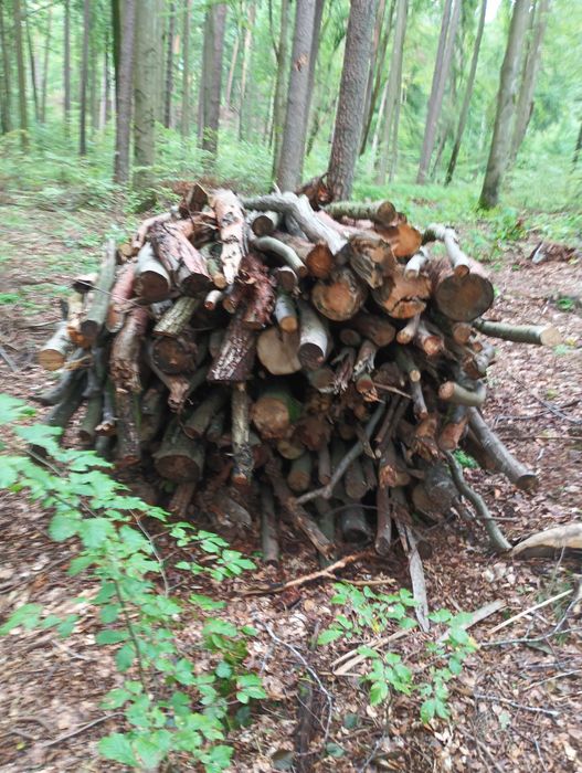 Drewno kominkowe oraz gałęziówka cięta pod wymiar klienta