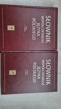 Książki  słownik dwa tomy