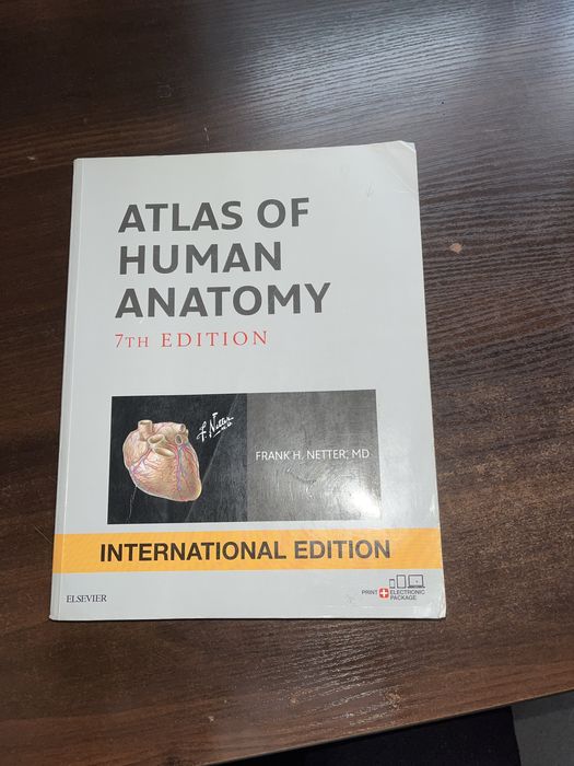 Алтас анатомії людини Frank Netter 7 видання англійською