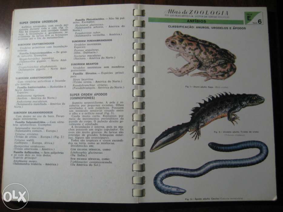 Atlas DE Zoologia (Vertebrados)