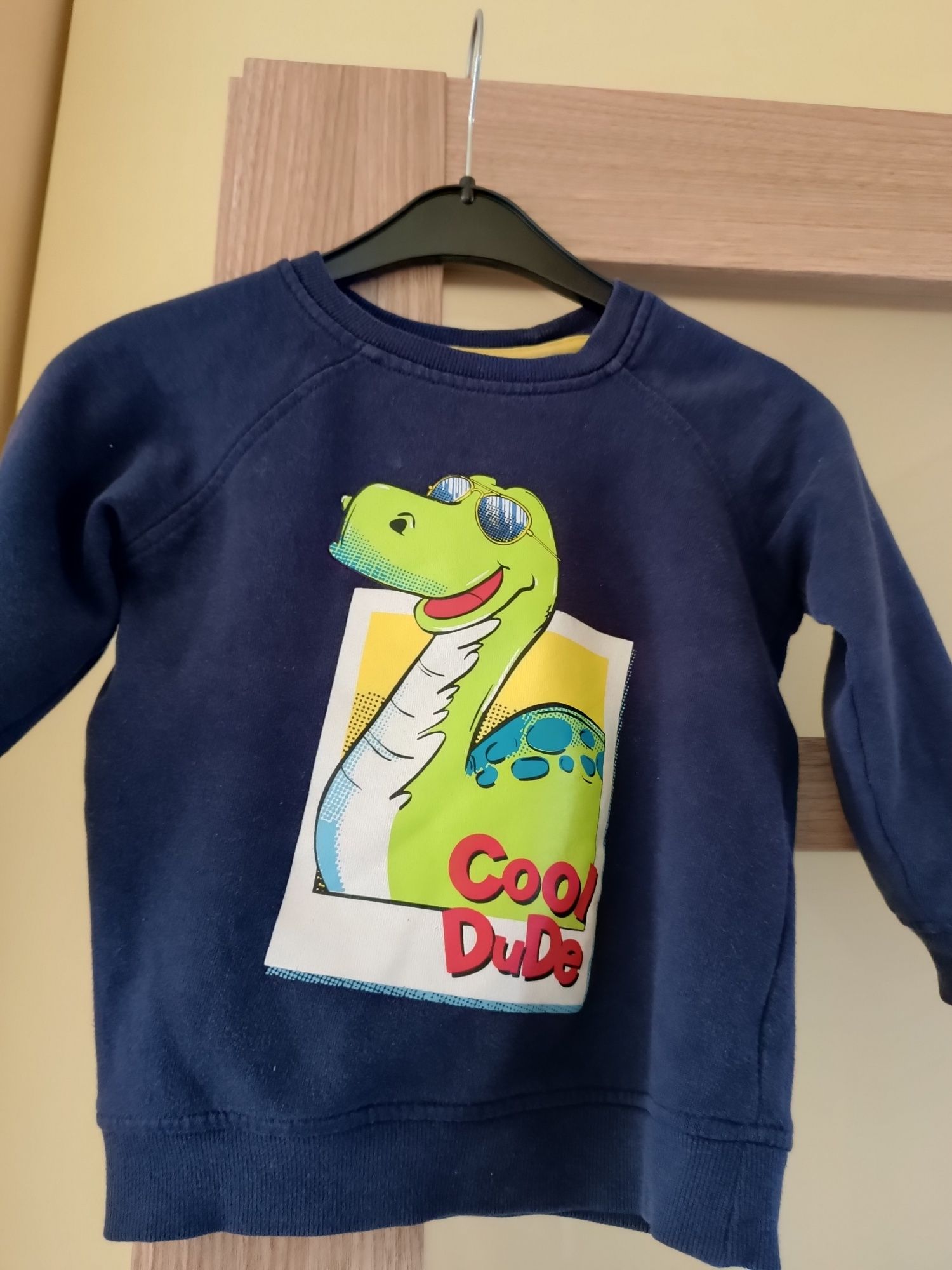 Bluzka dla chłopca z dinozaurem rozmiar 98