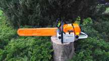 STIHL MS650 MS 650 PILA Pilarka Spalinowa