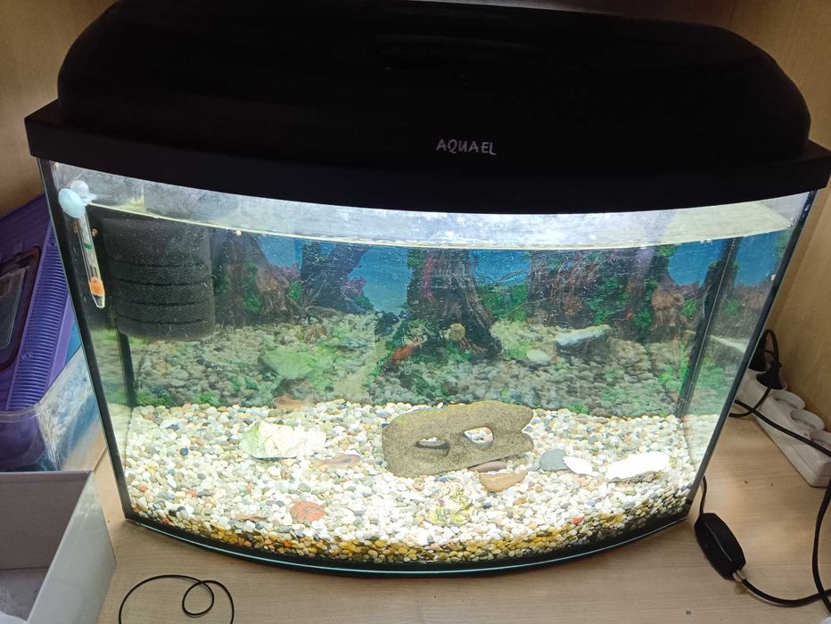Аквариум 80литров за 200злотых