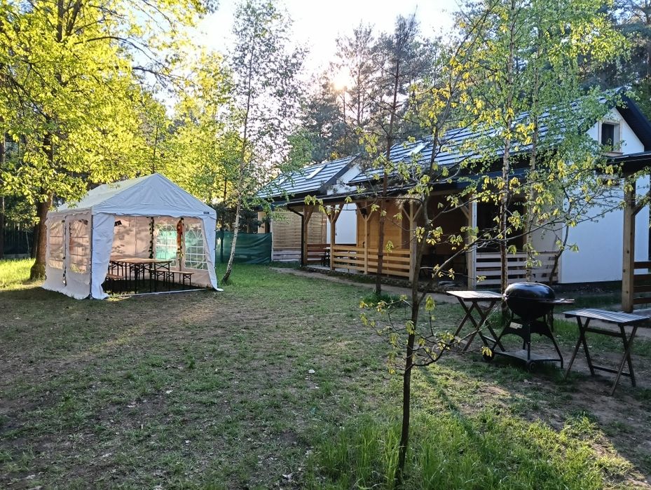 WOLNE TERMINY - domki w lesie na imprezy, kawalerski z sauną i jacuzzi