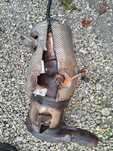 DPF FAP Katalizator 2.0 TDCI FORD Transit Mk8 Custom GK21-5F297-AG