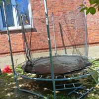 Trampolina 250cm