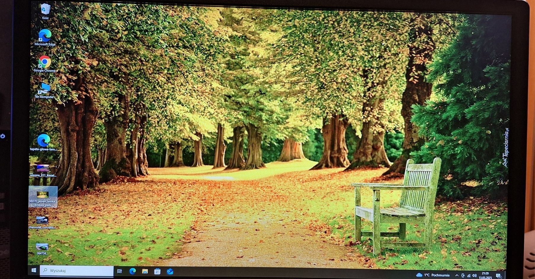 Monitor DELL P2314Ht
