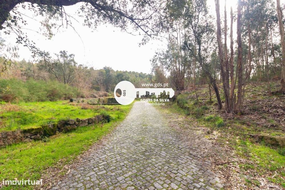 Terreno Florestal com Mais de 3 Hectares na Freguesia de Esporões, Bra