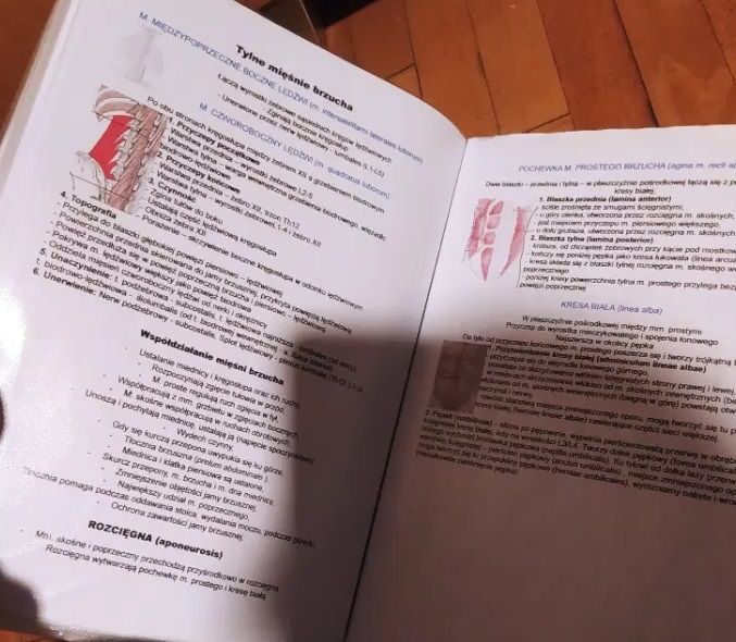 Notatki o Mięśniach (Książka do Notatki dla Technik Masażysta z Fizjot