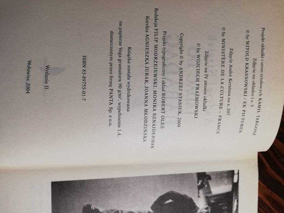 Książka Jadąc do Babadag - Andrzej Stasiuk