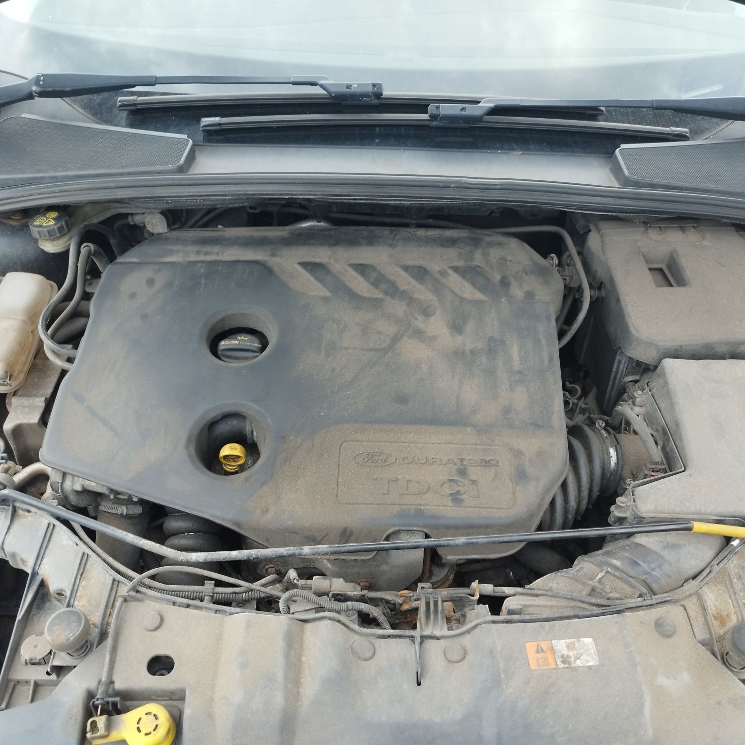 ford focus 1.6 TDCi anglik