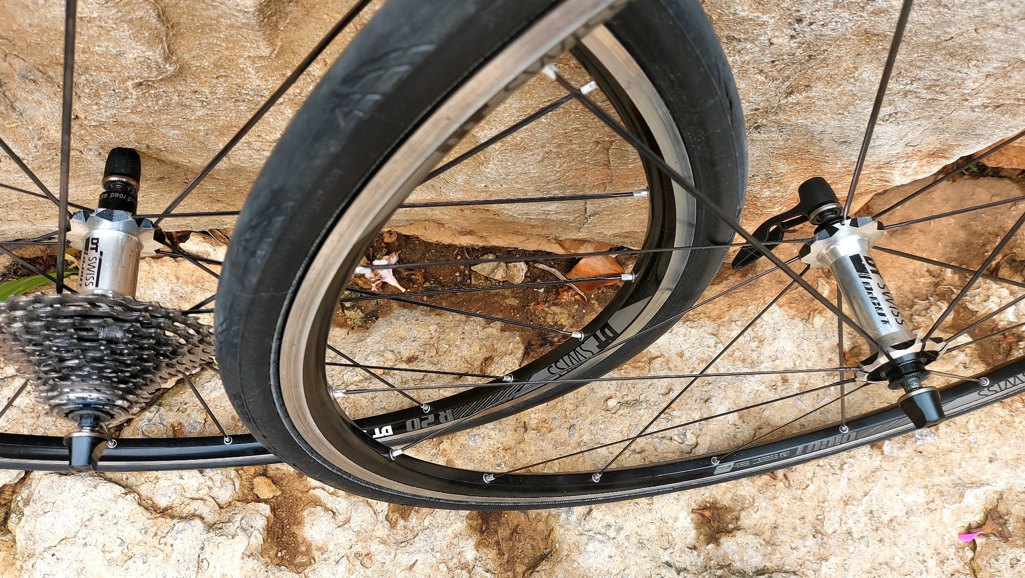 Rodas DTSWISS Dicut R20