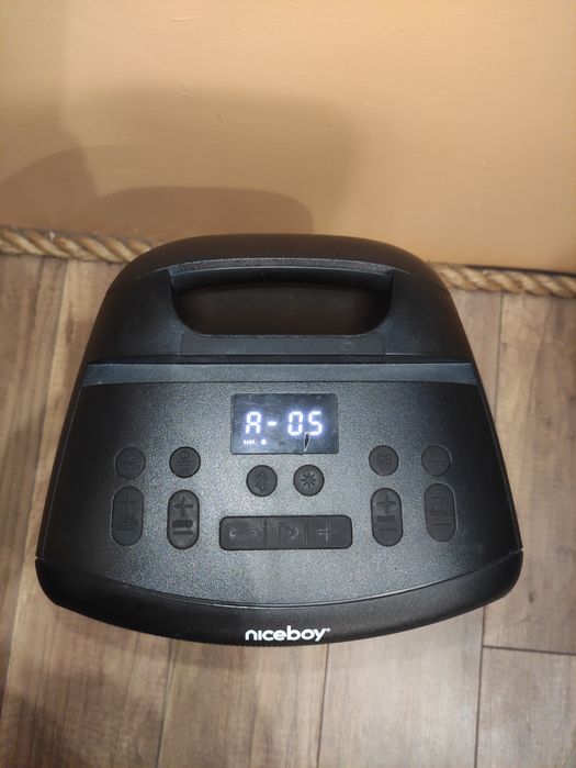 NICEBOY PARTYBOY 2 100W Портавивна колонка