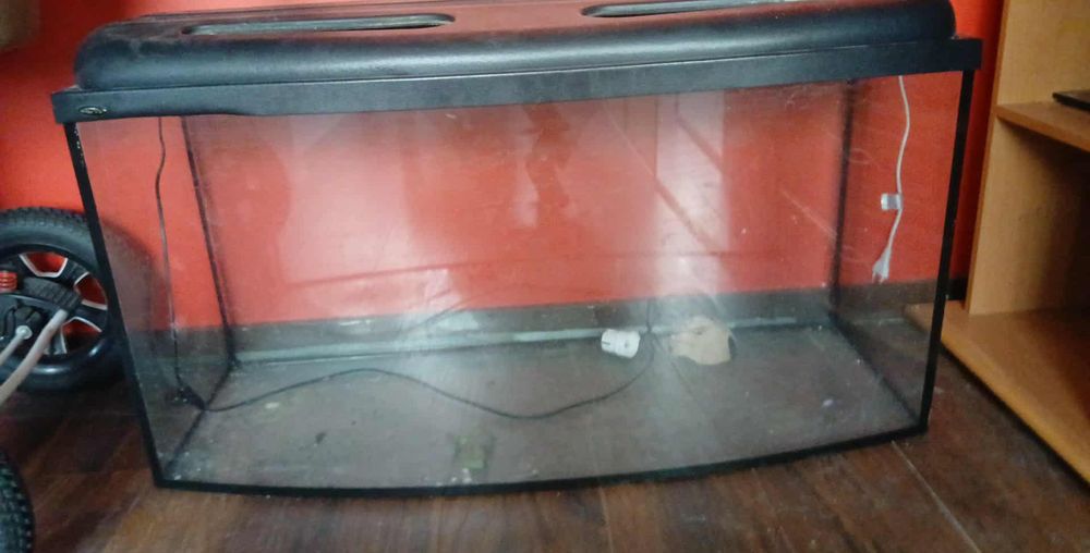 Akwarium na sprzedaż