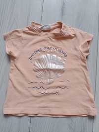 T-shirt koszulka coccodrillo 74 muszelka krótki rękaw napy