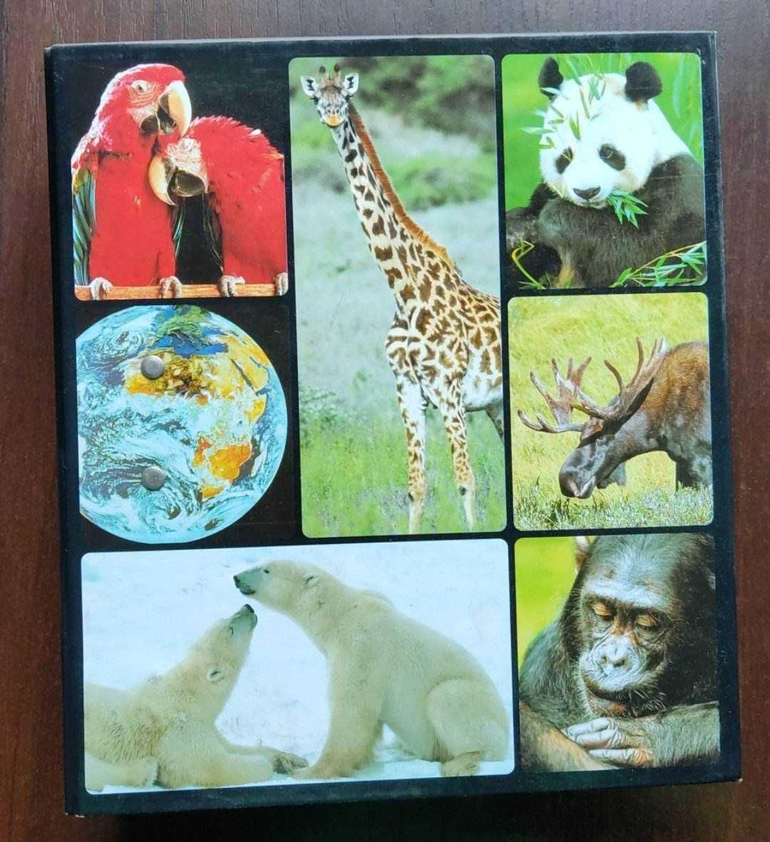 Encyklopedia zwierząt od A do Z - 5 segregatorów + karty (KOMPLET)