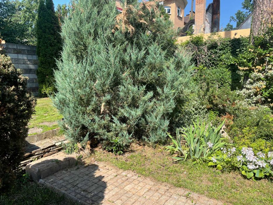 Сдам Дом с удобствами возле ТЦ Апрель