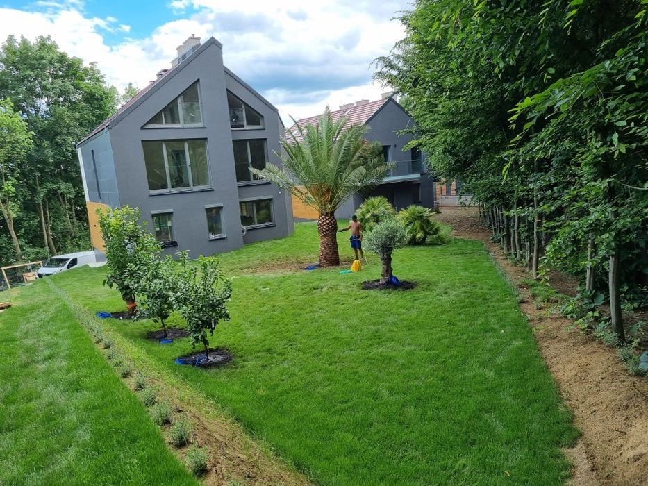 Uslugi Ogrodnicze Wycinka drzew tarasy/Kostak brukowa