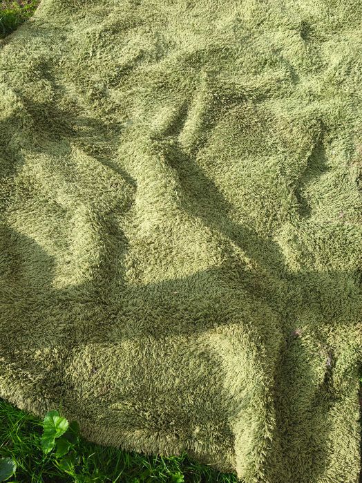 Dywan ZIELONY/Trawa