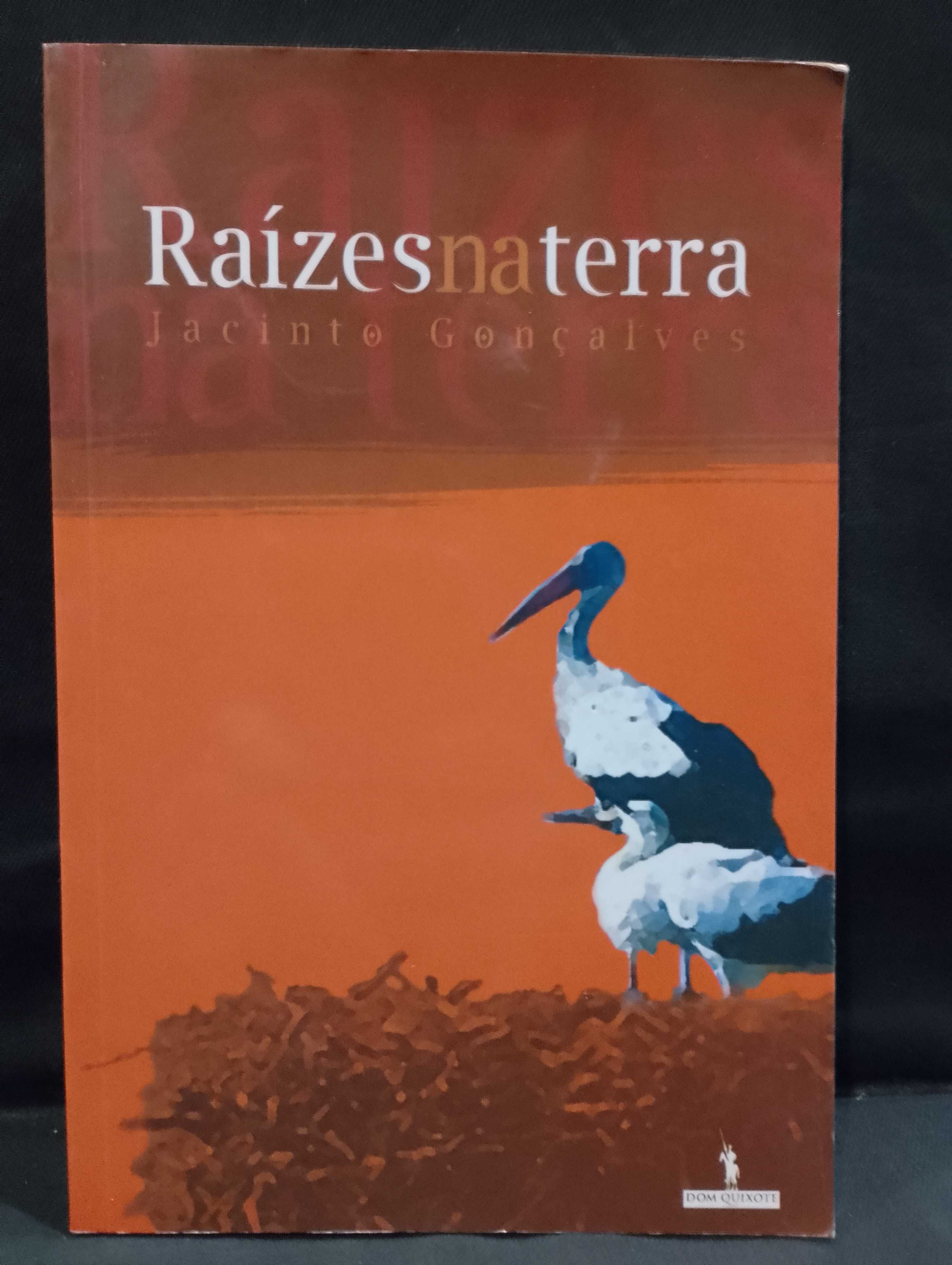 Raízes na Terra - Jacinto Gonçalves 1ª Edição