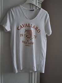 Tshirt męskiCavallaro Napoli rozm .L