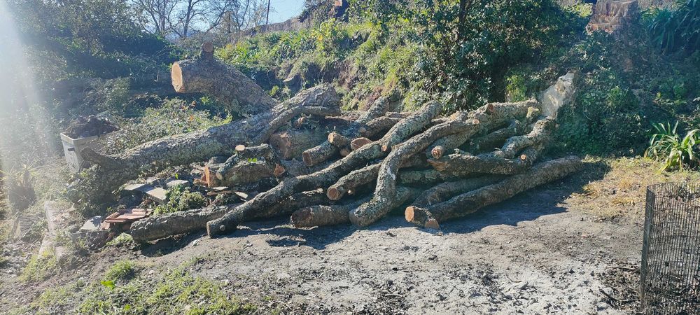 Madeira de Sobreiro