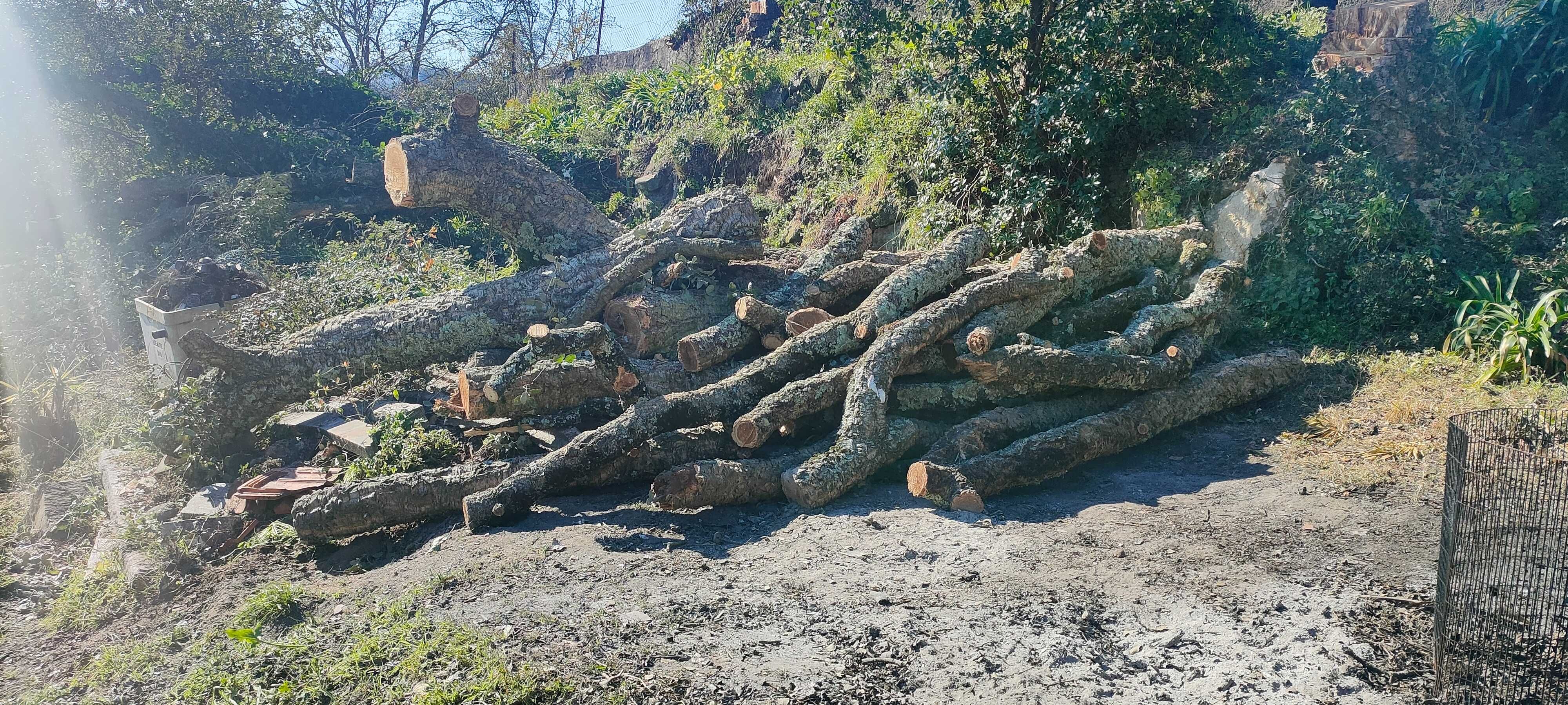 Madeira de Sobreiro