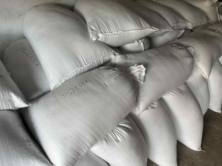 Worki z pszenicą/pszenżytem