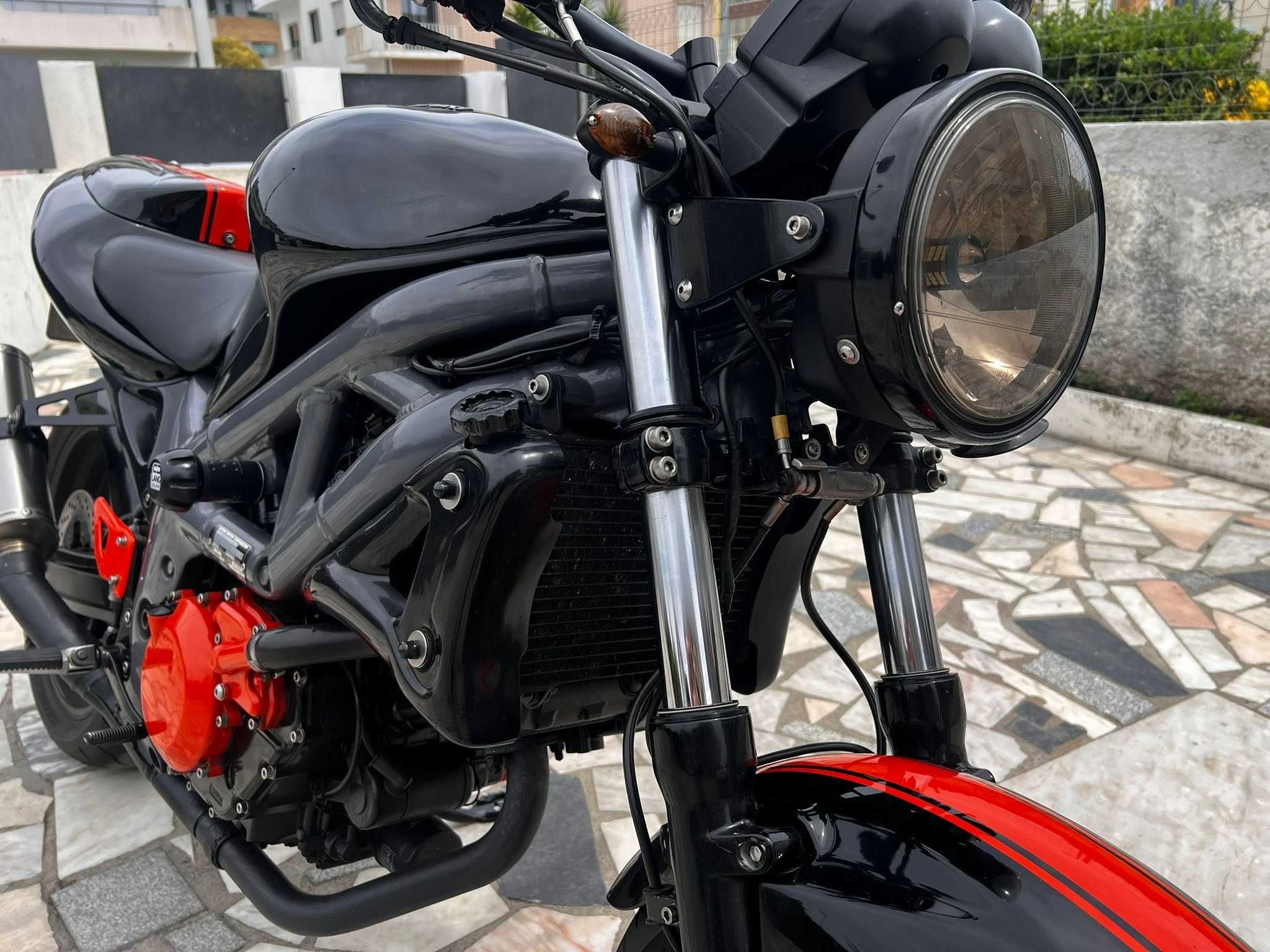 SUZUKI SV605 de estimação