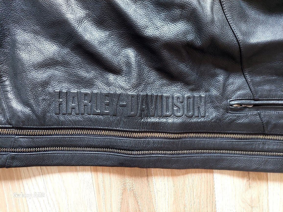 Chapsy harley davidson