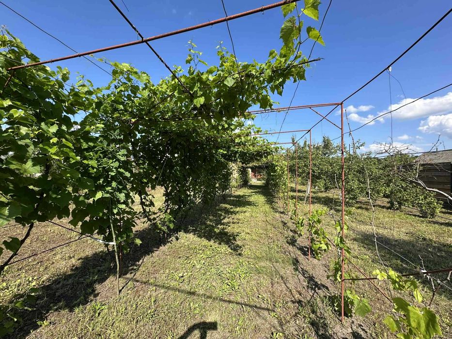 Продається дача в Новій Українці біля Піщаного озера