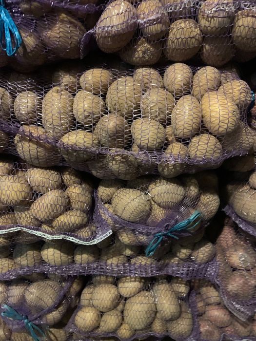 Продам картоплю. Велику та насіневу