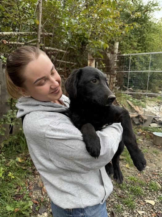 Луна стерилізована дівчинка 5-6 міс