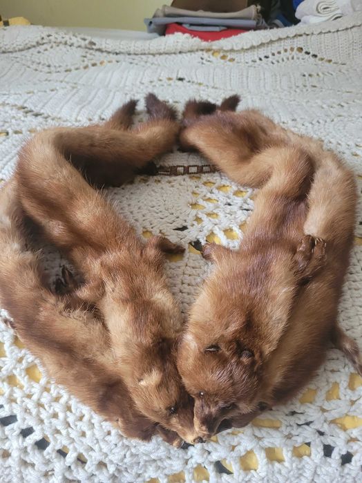 Kołnierz, szalik  futrzany  z nutrii