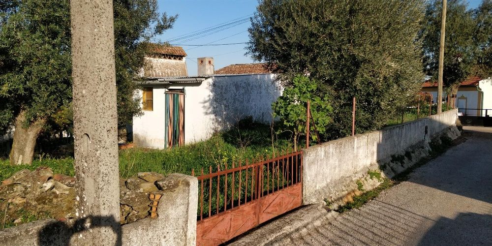 Terreno e Casa em Mouriscas - Abrantes