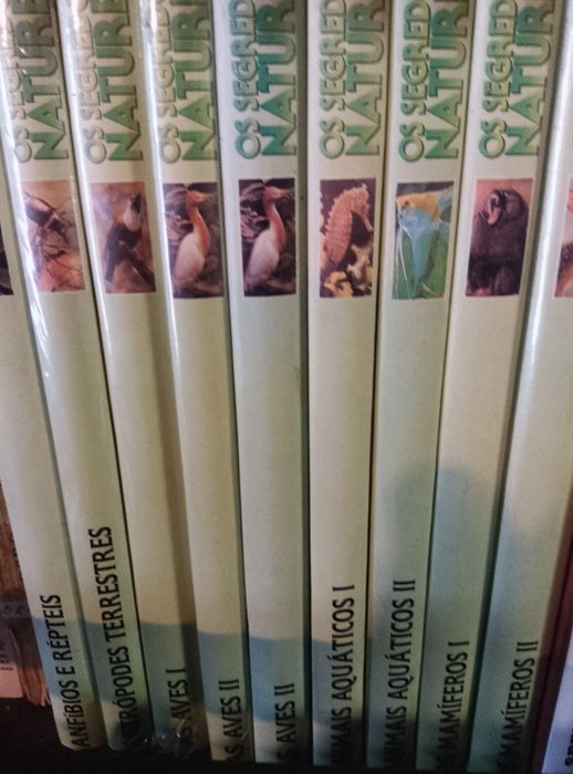 Vários livros de coleção