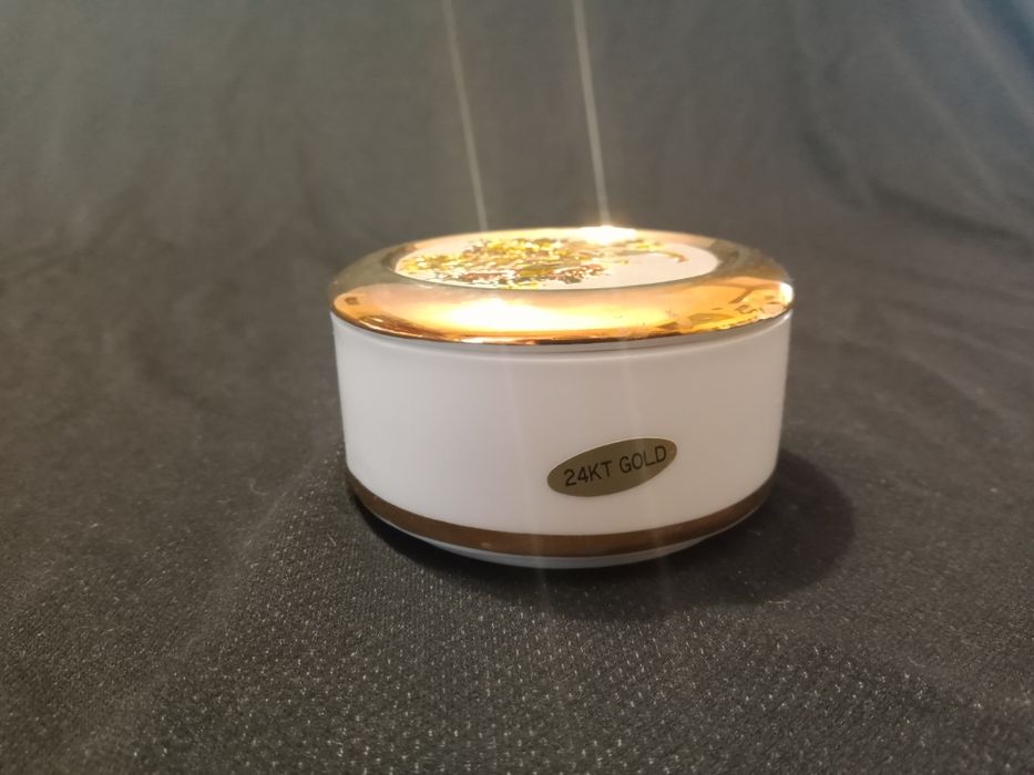 Art of chokin 24K GOLD japan