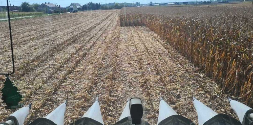 Usługi rolnicze siew kukurydzy zbóż bezorkowa zbiór kombajnem prasą