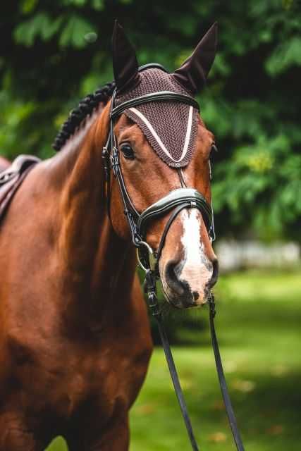 Ogłowie Equestrian Queen Ganymede