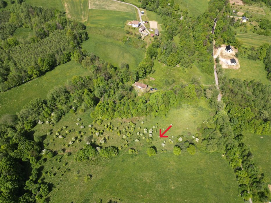 Sprzedam działkę rolną w Wola Nieszkowska gmina Bochnia