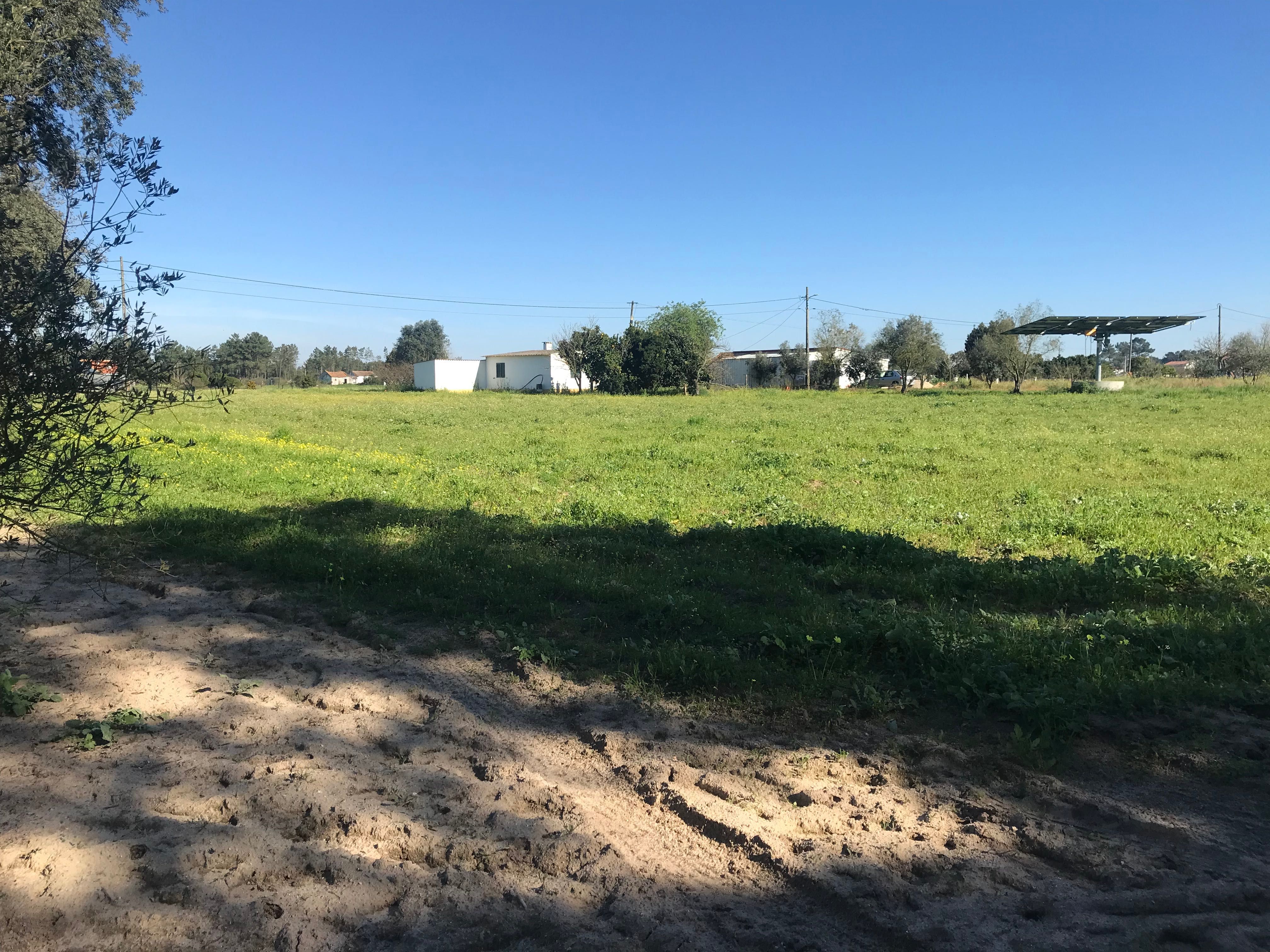 Terreno 10000 m2 com casa furo painel solar água da rede eletricidade