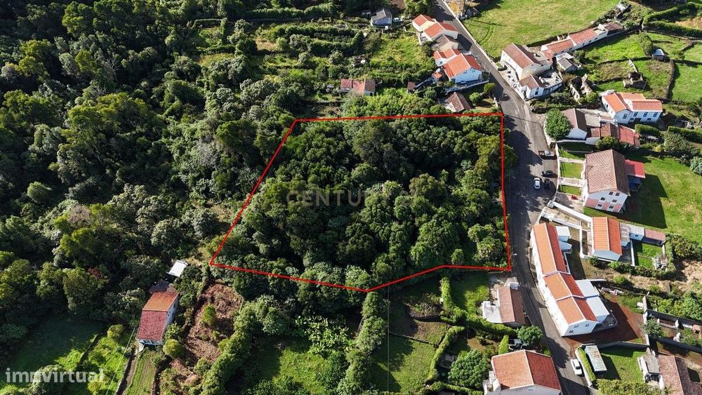 Oportunidade Única: Casa em Ruína com Amplo Terreno – Rua do Bairro de