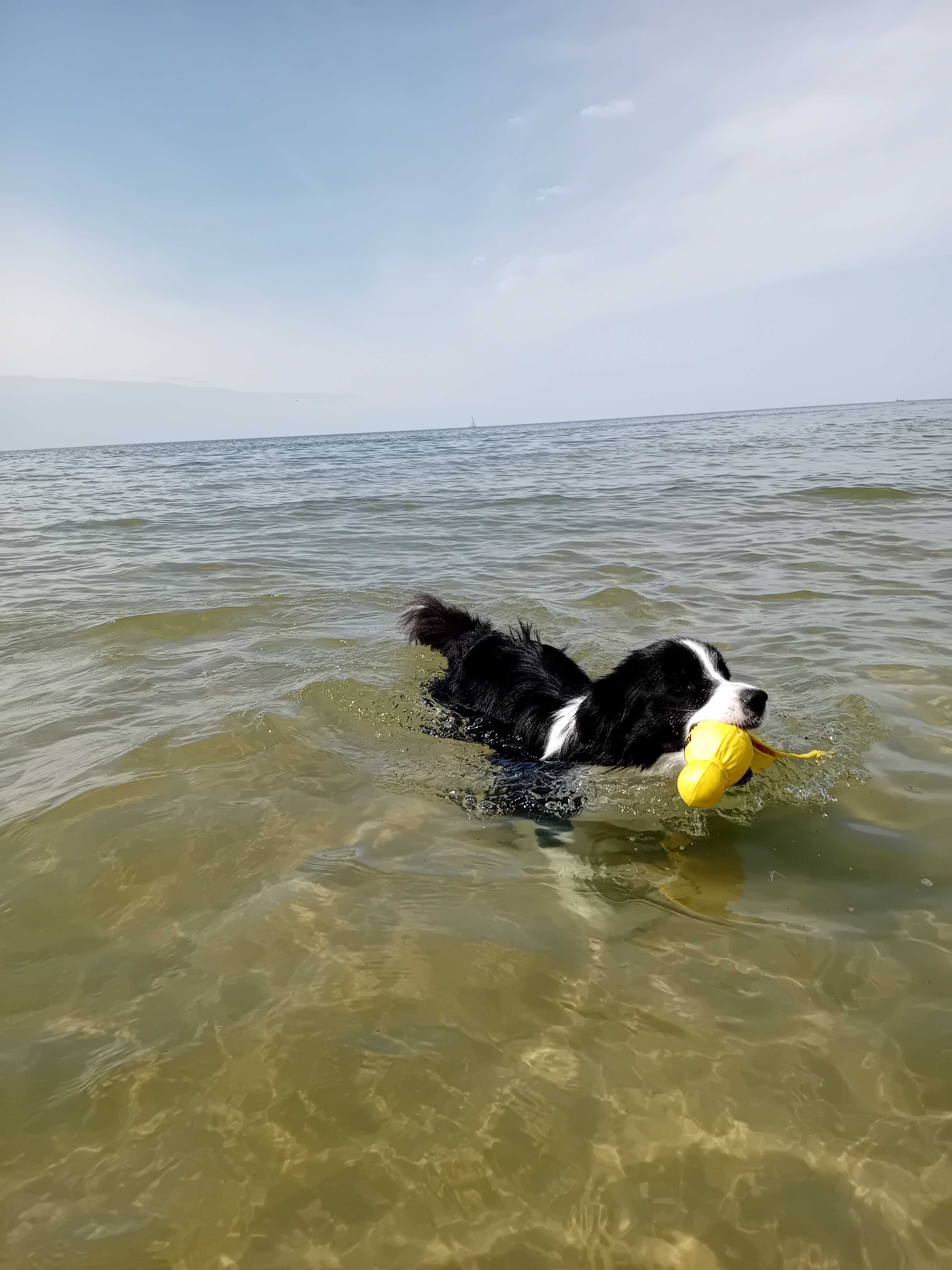 Wicie!  Domki nad morzem, 80 m od plaży. Wolny domek od 24.08!!