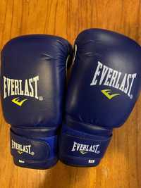 Боксерські перчатки Everlast 16oz
