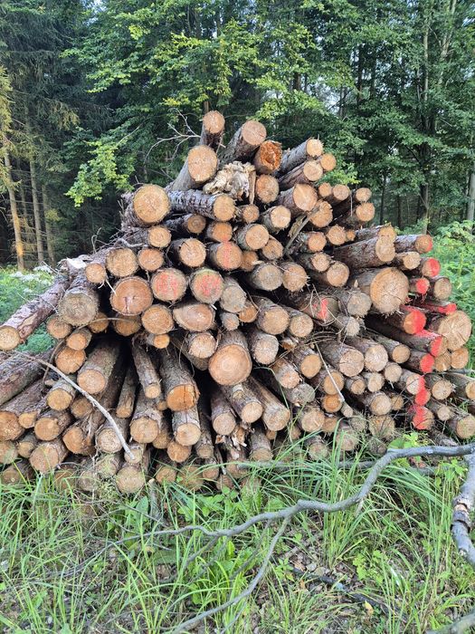 Stemple swierkowe modrzewiowe słupki