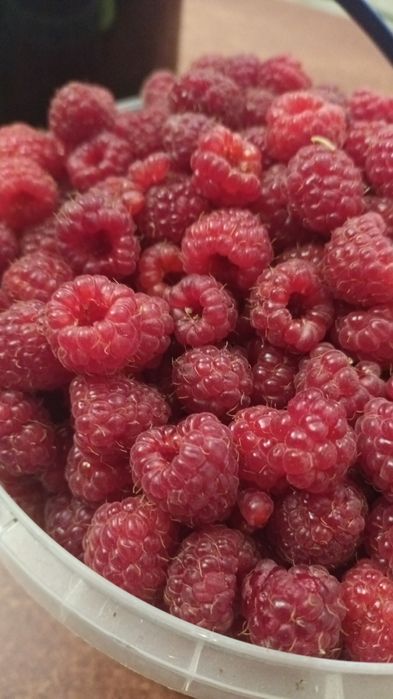 Малина сушена з Карпат.