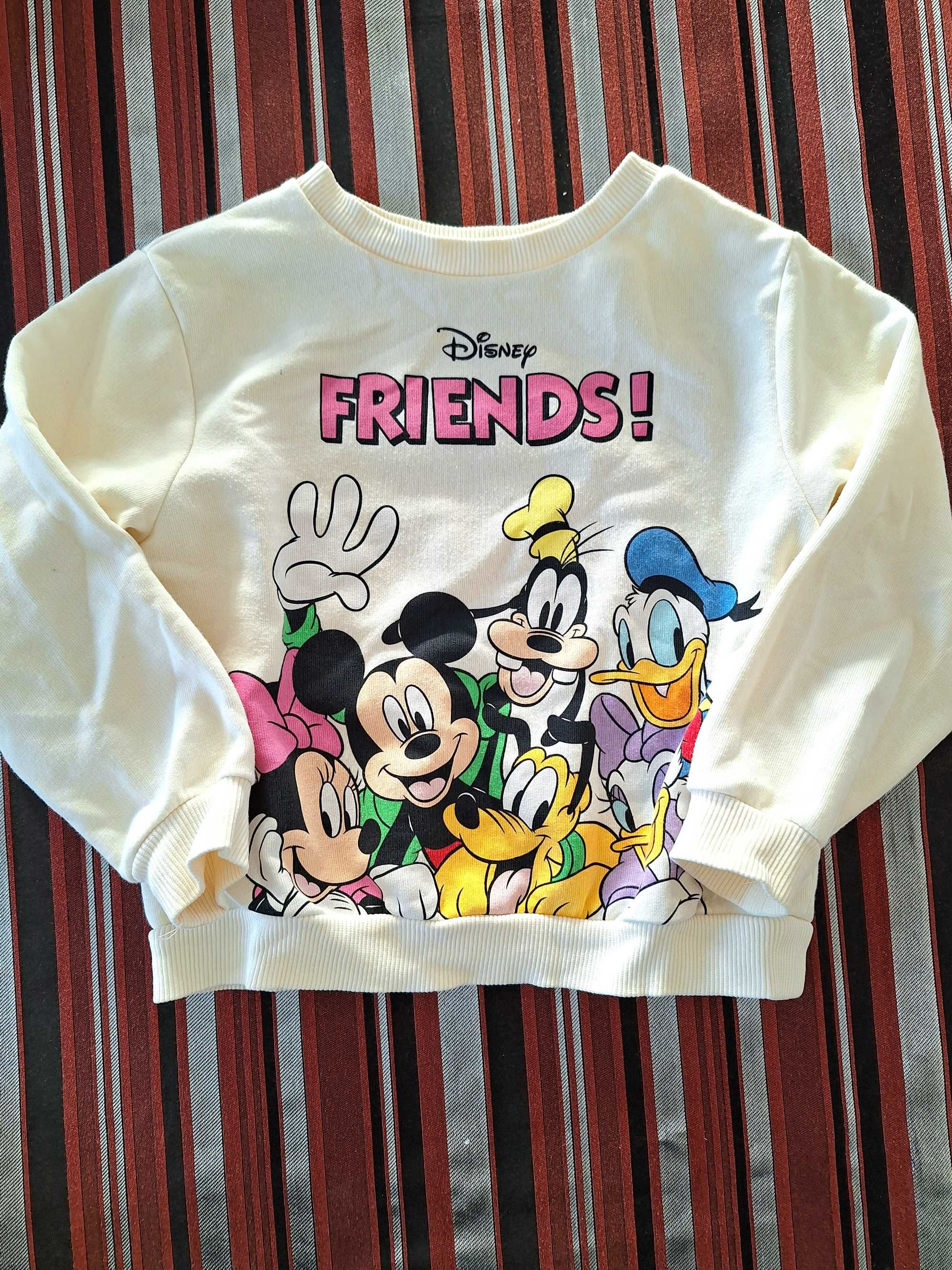 Bluza Disney Friends H&M 98-104, 2-4lata