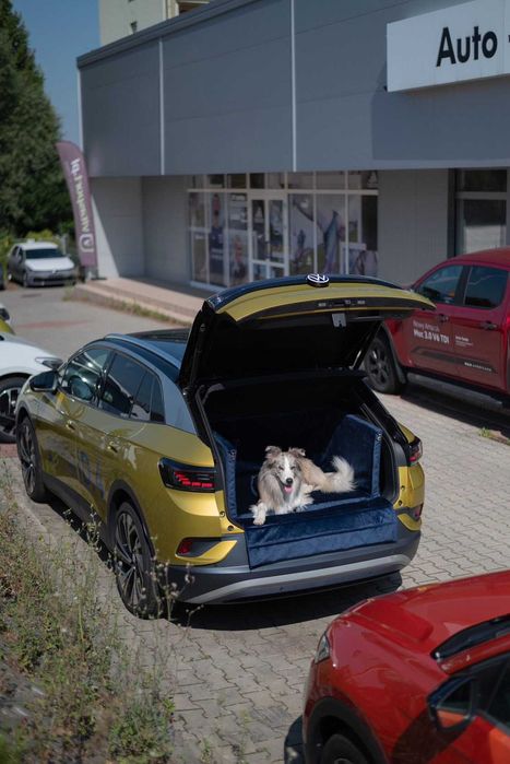 Zabudowa bagażnika do transportu psa