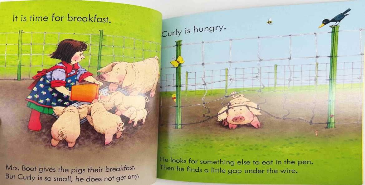 Usborne Farmyard Tales Poppy and Sam Pig Gets Stuck